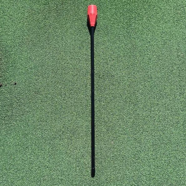 Chip Trainer Stick